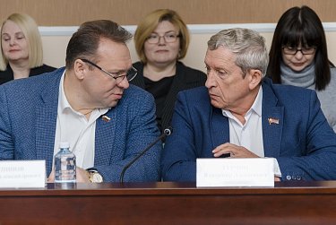 Бюджет на решение «собачьего» вопроса останется прежним